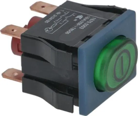 Imagen INTERRUPTOR BIPOLAR VERDE 250V 16A